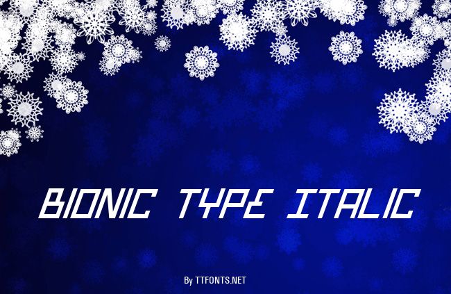 Bionic Type Italic example
